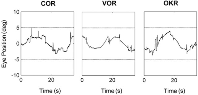 Infra-red recordings of cervico-ocular reflex, vestibulo-ocular reflex and optokinetic reflex resulting from sinusoidal movements (0.04 Hz, ± 5° amp). This isolates the slow phase component as there is no need for resetting saccades of nystagmus when tracking a back and forth sinusoid.