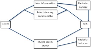 Vicious Cycle of Neck pain